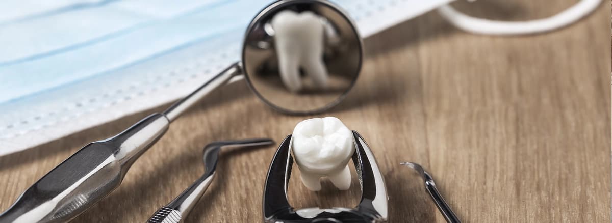photo-tooth-extractions-in-astoria-queens-extracted-tooth-with-instruments