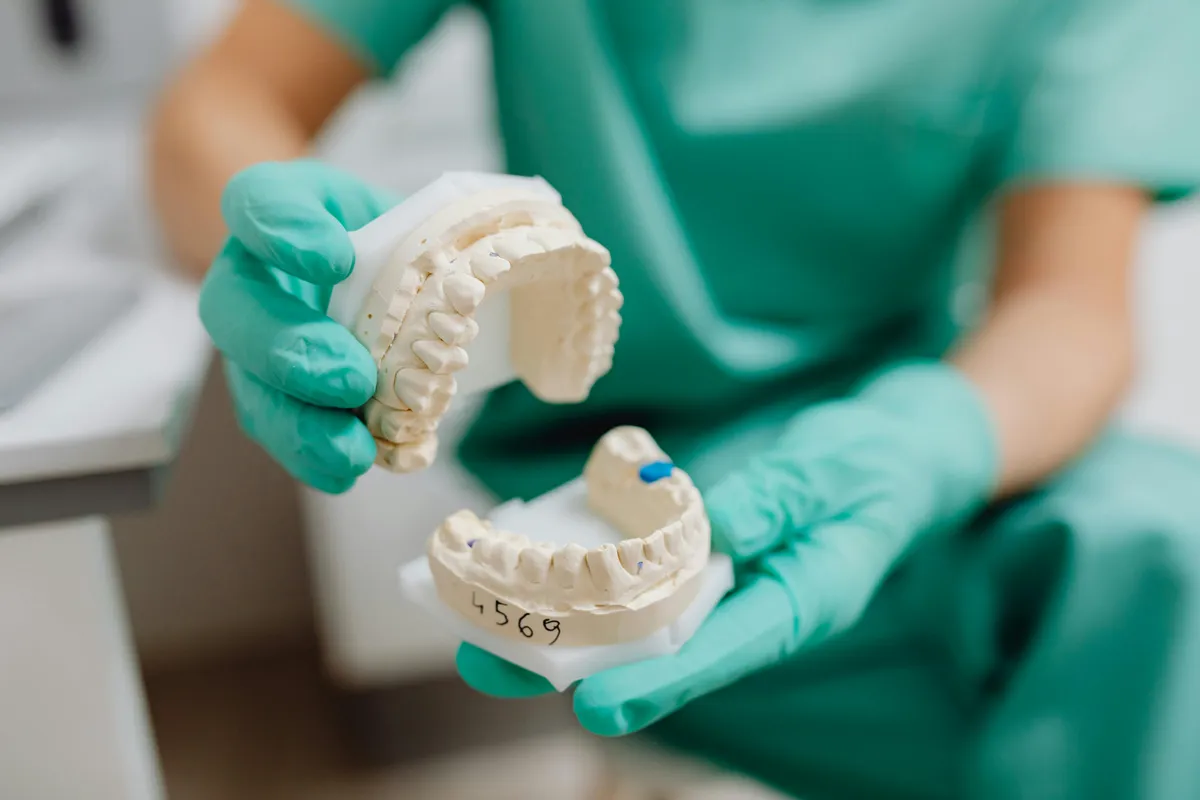 Can Invisalign Fix Jaw Alignment Dentist Wearing Green Gloves Holding Dental Model Of Upper And Lower Teeth In Clinic